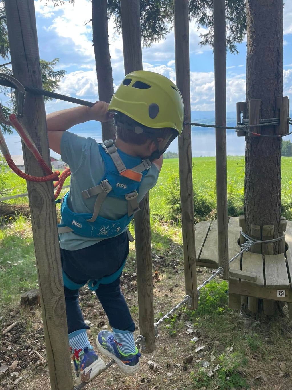 Aktiviteter for alle