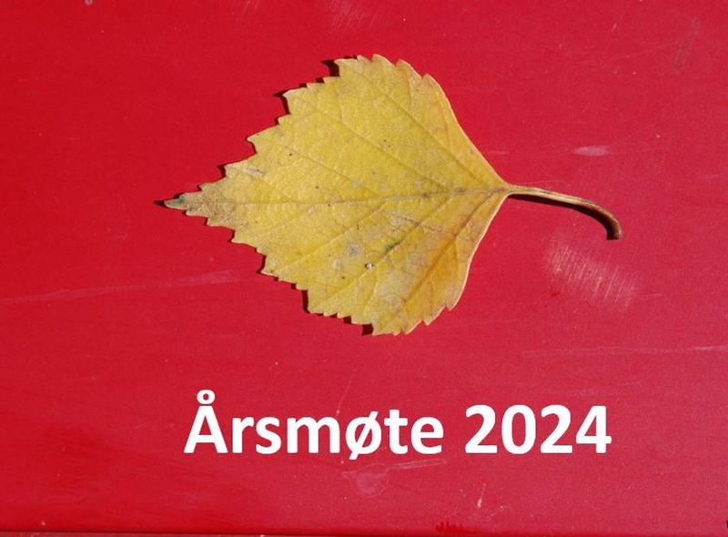 Årsmøte 2024